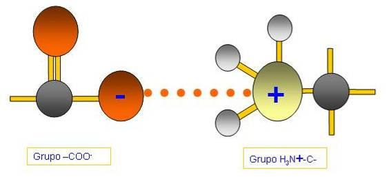 Enlace iónico ou por forzas electrostáticas ou iónicas: establécense entre grupos que teñen carga