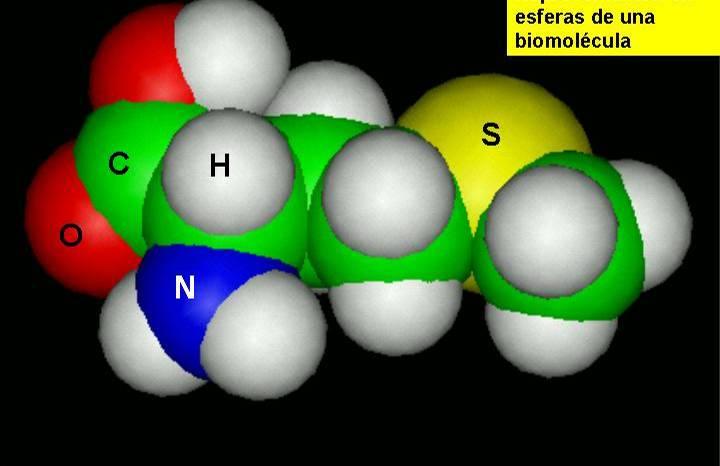 Modelos compactos ou de bolas: representan a silueta da molécula, mantendo os radios atómicos e os ángulos.