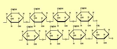 Concepto de Macromolécula, Monómero e Polímero Macromolécula: biomolécula grande, masa superior a 10 4 da