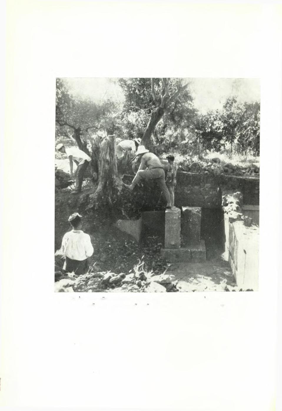 w ΠίΝΑΞ 98 ΠΑΕ 1963. 15.