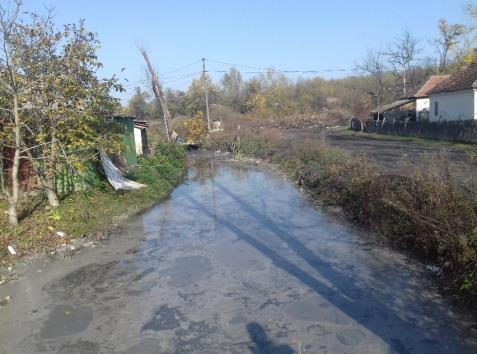 Ниво воде у каналу поред домаћинства Васића се смањује.