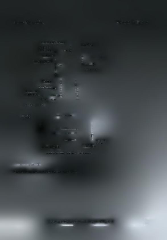 Cache culbateure Y Protection aceoustique Culasss Echappcmcnt< p/jj Injecteur C nature de corrbustcn Piston BtacCyfrKrr* Bielle Aj* Carter srnpciai xdc pa*a*o Icwwp *?