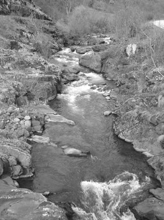 Ristić Vakanjac) Већ је речено да речни токови, било да су стални или повремени, имају велике градијенте. Тако на пример, пад саставница Топлодолске реке износи 97.6 за Јаворску реку, односно 132.