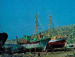 Το μπακέτο Οι μπακέτες ήταν σκάφη επικοινωνίας μεταξύ των σφουγγαράδικων και των τόπων προέλευσής τους.
