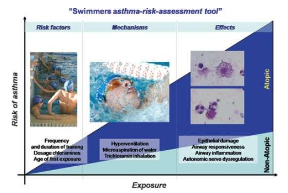 Mechanisms of asthma in Olympic athletes
