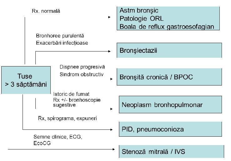 Dg diferential tuse persistenta Examene de sputa bk Elementul esential pt diagnosticul si monitorizarea TB 1 control de sputa initial 3 produse de sputa, insotite de un bon la laborator Ex.