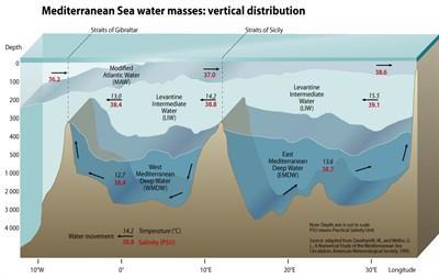 Αντίστοιχα στην περιοχή της νότιας Αδριατικής δημιουργείται το μεγαλύτερο μέρος των Ανατολικών Μεσογειακών βαθιών νερών (Eastern Mediterranean Deep Water EDMW), τα οποία απλώνονται στην ευρύτερη