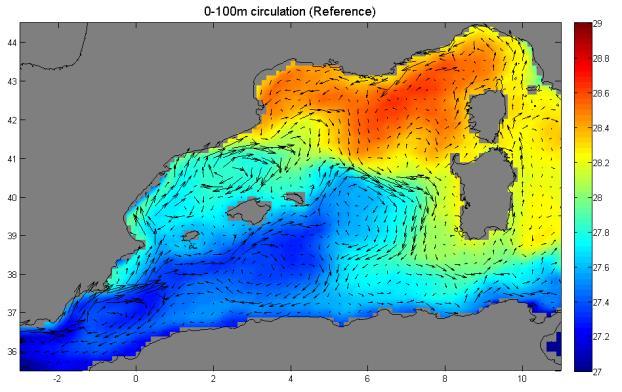 ενίσχυση του μηχανισμού δημιουργίας πυκνών νερών λόγω της αυξημένης επιφανειακής αλατότητας που φτάνει μέσω κυκλοφορίας στην περιοχή αυτή. H επιφανειακή κυκλοφορία της Μεσογείου (παρ. 3.1.