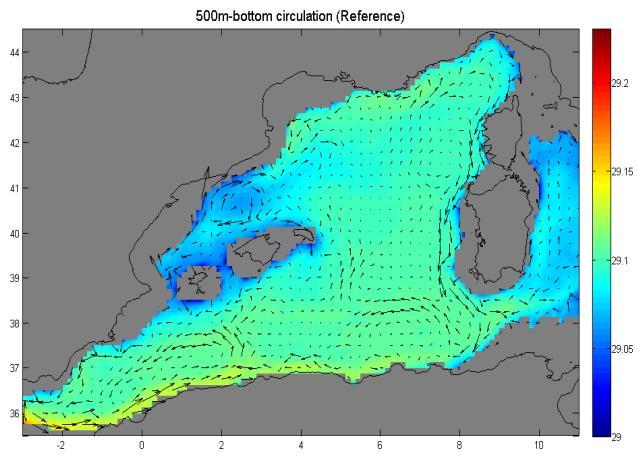 Ενδιαφέρον είναι, πως στο συγκεκριμένο εύρος βάθους (100m-400m) κινούνται τα ενδιάμεσα Λεβαντινά νερά (LIW) της Μεσογείου θάλασσας, τα οποία συγκρίνοντας τα πειράματα μεταξύ τους, παρατηρούμε πως
