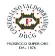 Prosecco DOCG producers association of Conegliano and Valdobbiadene, Ιταλία 13.Reims University, Γαλλία 14.