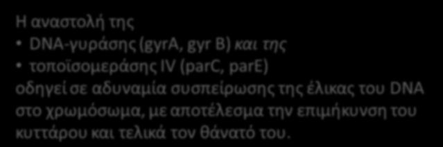 έλικας του DNA στο χρωμόσωμα, με