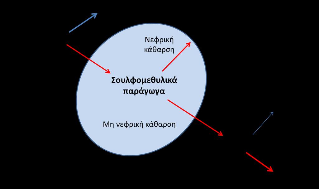 Φαρμακοκινητική Nation R, et al.