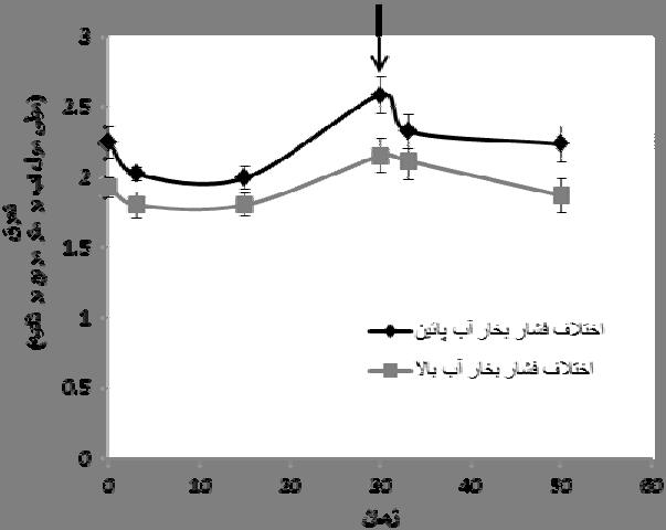 قرار دادن برگها در معرض نور آبي (در تمامي زمانهاي قرارگيري) مقدار C i در هر دو دسته از گياهان افزايش يافت.