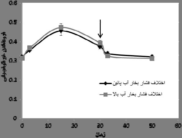 روزنه داراي دو واكنش شناخته شده به نور شامل واكنش وابسته به كلروفيل و فتوسنتز و واكنش مستقل از فتوسنتز ميباشند (18).