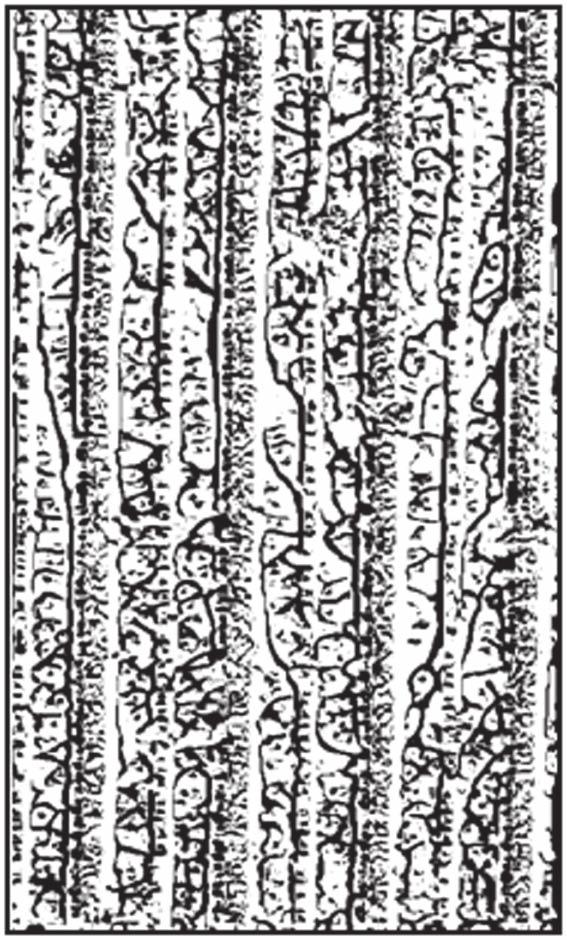 ب( تصویر حاصل از پارامتر نقطه منحنی )مقیاس