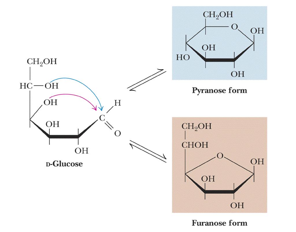 D-glucose can cyclize in two ways