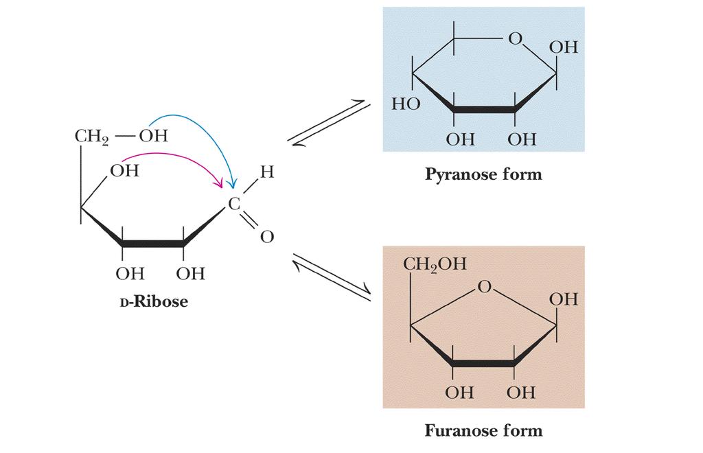 D-ribose and other five-carbon saccharides