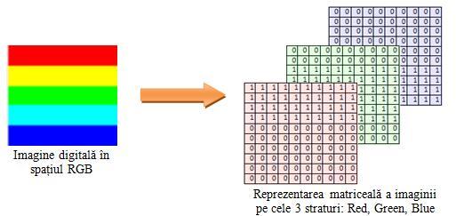 Exemple de utilizare a vectorilor, matricelor și matricelor tridimensionale conținutul unei imagini grayscale digitale este o matrice cu aceeași dimensiune cu cea a imaginii (numărul de linii din