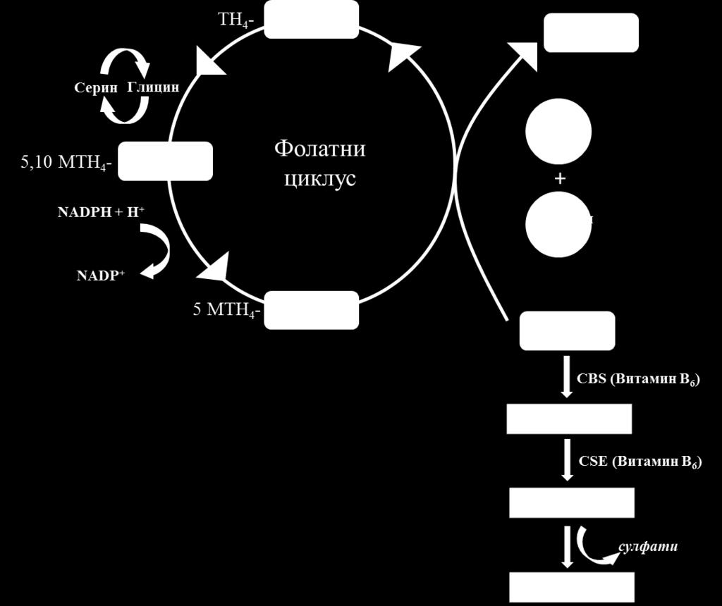 нагомилавања dutp. Како DNA полимеразе нису способне да направе разлику између dutp и dttp, тако настаје могућност да се деси погрешно уграђивање, односно да се на место тимидина угради урацил.