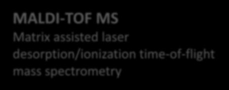 methods - Probes hybridization -