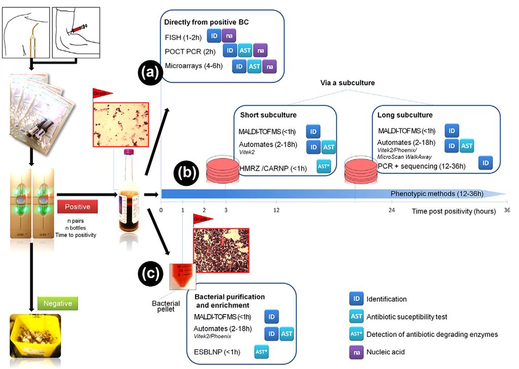 ID/AST methods from