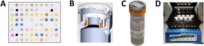 responsive indicators embedded in a nanoporous matrix rapid and accurate