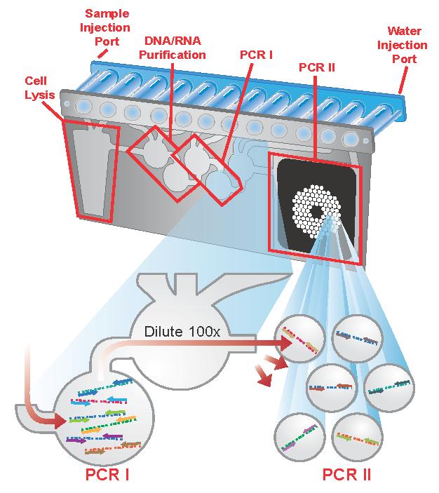 FilmArray platform: Nucleic-acid-based method Multiplex RT-PCR Δείγματα: θετική αιμοκαλλιέργεια κόπρανα δείγμα αναπνευστικού (φαρυγγικό) ΕΝΥ Αυτόνομο σακουλάκι με όλα τα αντιδραστήρια ενσωματωμένα: