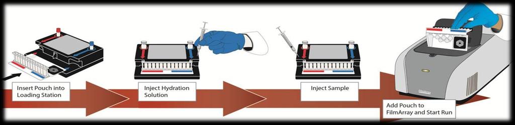 FilmArray System.