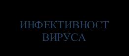 ИНФЕКЦИЈЕ ВИРЕМИЈА ГЕНОТИП (7 генотипова) ИНФЕКТИВНОСТ ВИРУСА Слика 5.