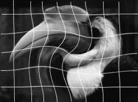 Nonlinear ransormations העתקות לא-ליניאריות peciication b Control Points מפרט על ידי Control Points P P 3 P P 3 P