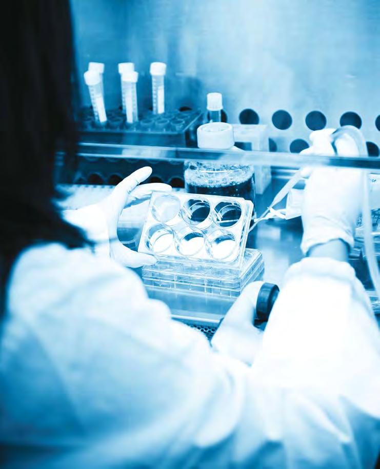 מהמעבדה לביוטכנולוגיה ולבדיקות קליניות: פיתוח תרופות ומבט לעתיד ראיון עם פרופ' אילנה גוזס, על פיתוח תרופה בעלת פוטנציאל לשיפור הזיכרון ויכולת הלמידה, המבוססת על מולקולה של החלבון ADNP החיוני לתפקוד