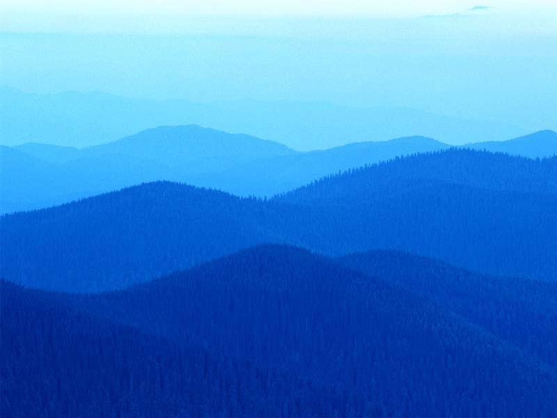 O`ZBEKISTON RESPUBLIKASI OLIY VA O`RTA MAXSUS TA`LIM VAZIRLIGI. QARSHI MUHANDISLIK IQTISODIYOT INSTITUTI.