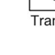 They are capable of clamping the incoming transient to a