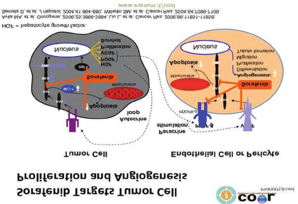 μένο ή μεταστατικό νευροενδοκρινή καρκίνο παγκρέατος. Sorafenib (Nexavar) είναι ένα μικρομόριο- αναστολέας της CRAFκινάσης το οποίο οδηγεί στην αναστολή του σηματοδοτικού μονοπατιού RAF/MEK/ERK/.