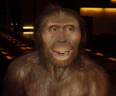 000), homo floresiensis ( хобит ) (200.000-50.000), archaic homo sapiens ( мудар или умен човек ) (350.000-260.000), homo sapiens idaltu ( постар или првороден (315.000-160.000). https://en.