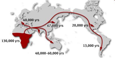 Карта 3. Рана миграција на човекот-хомо сапиенс низ светот Сепак, Културната револуција во праисторијата се случила пред 40.000 години пр.н.е. со појавувањето на кромањонецот во Европа.