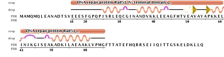 Α.2 Δευτεροταγής δομή του N-Terminal Domain της RAD51 (αα 1-114) - PDB: 1B22 29% helical (5 helices; 34 residues),