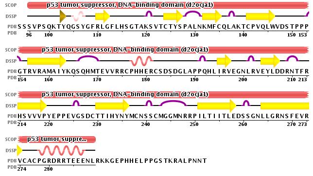 3 Δευτεροταγής δομή της BRCA2 BRC4 repeat (αα 1519-1551)- PDB: 1N0W-b 25% helical (2 helices; 9 residues), 8% beta