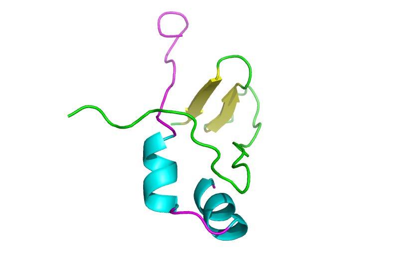 - RAD51 (176-200) Εικόνα 43.