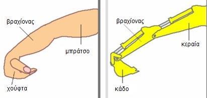 8. ΣΥΣΤΗΜΑ ΕΚΣΚΑΦΗΣ 8.1 Κατασκευαστική διαμόρφωση και τρόπος λειτουργίας Ο κινηματικός μηχανισμός ενός εκσκαφέα με ανεστραμμένο κάδο είναι όμοιος με την μορφή του ανθρώπινου χεριού (Σχ.8.1).