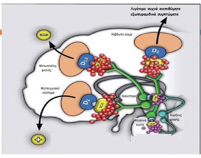 Μηχανισμός δράσης: Άτυπων (2ης γενιάς) αντιψυχωσικών (SGA) Πιθανή βελτίωση των