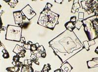 Iz zgornje slike dveh osnovnih celic NaCl»odrežimo«skrajno levo in skrajno desno plast gradnikov.