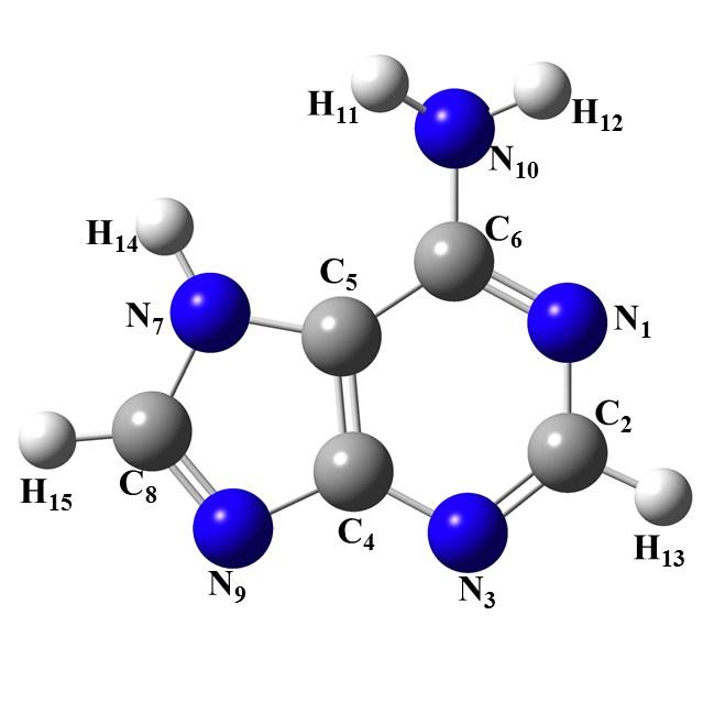 Figure S3: Optimized structure of singlet 7-adenine (X 1 A) obtained at