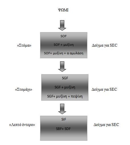ml SGF, και υποβάλλεται σε κατεργασία συμπίεσης στο stomacher (Stomacher 400, Seward, Worthing, UK) για 30 λεπτά.