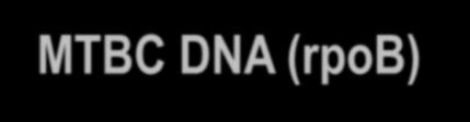 Methods for TB genotypic