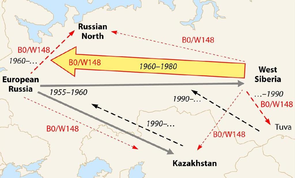 9% non-beijing) - Διασυνοριακή μετάδοση μολυσματικού cluster από τις χώρες της Βαλτικής 46