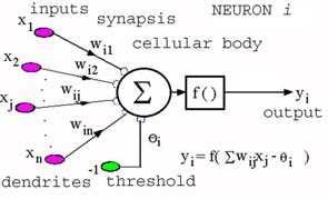 δίκτυο από υπολογιστικούς κόµβους (νευρώνες, νευρώνια), συνδεδεµένους