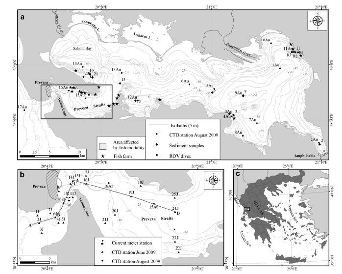 περιέχει 3.8, 1.4 και 3.9 φορές περισσότερα ΡΟ4-Ρ, ΝΗ4-Ν και ΝΟ3Ν, αντίστοιχα, από το Ιόνιο και το Αιγαίο (Friligos et al., 1997). Οι Ferentinos et al.