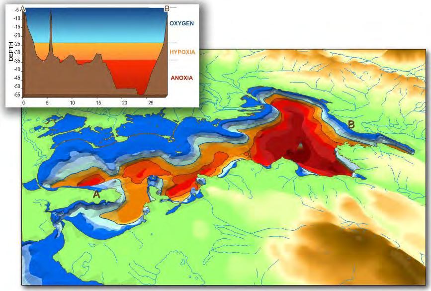 ανοξικές συνθήκες εμφανίστηκαν στον κόλπο κατά τα τελευταία 20 έως 30 χρόνια.