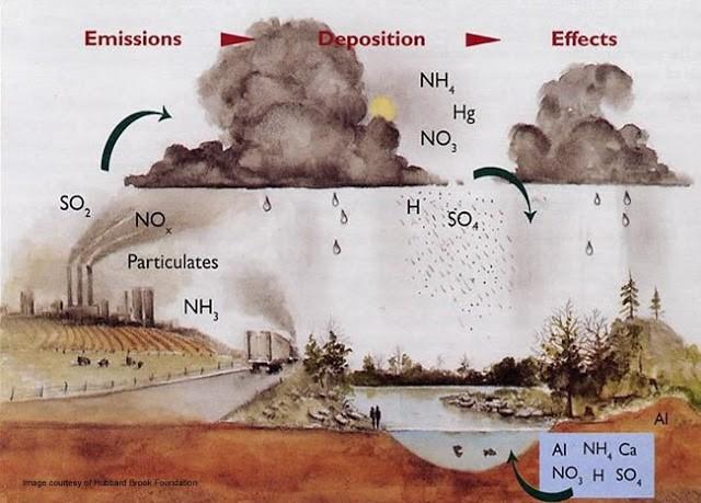 Slika 1: Nastanek kislega dežja Namen in cilji laboratorijske vaje: Spoznati pojem bioindikatorja Spoznati metodo ocenjevanja zraka s pomočjo epifitskih lišajev Praktično v naravi opaziti, prepoznati